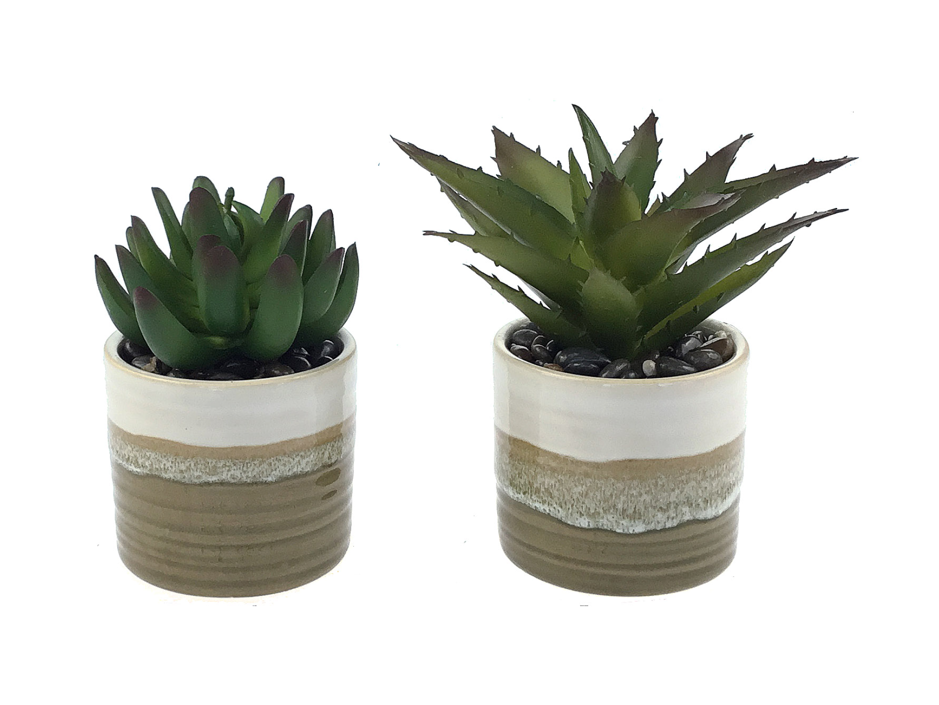 two brown and white pots with two different succulents