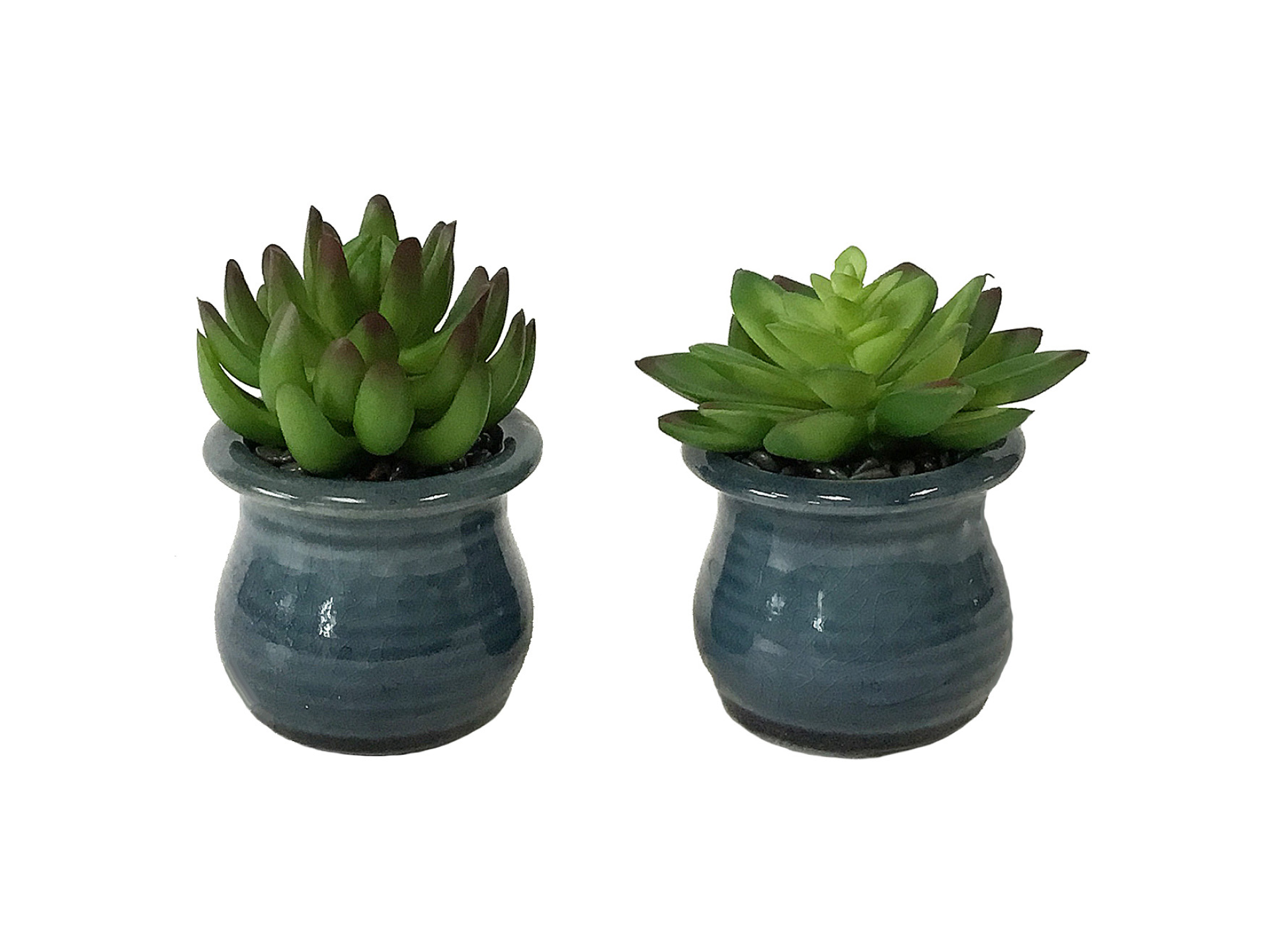 Two different types of succulents in two small teal colored pots