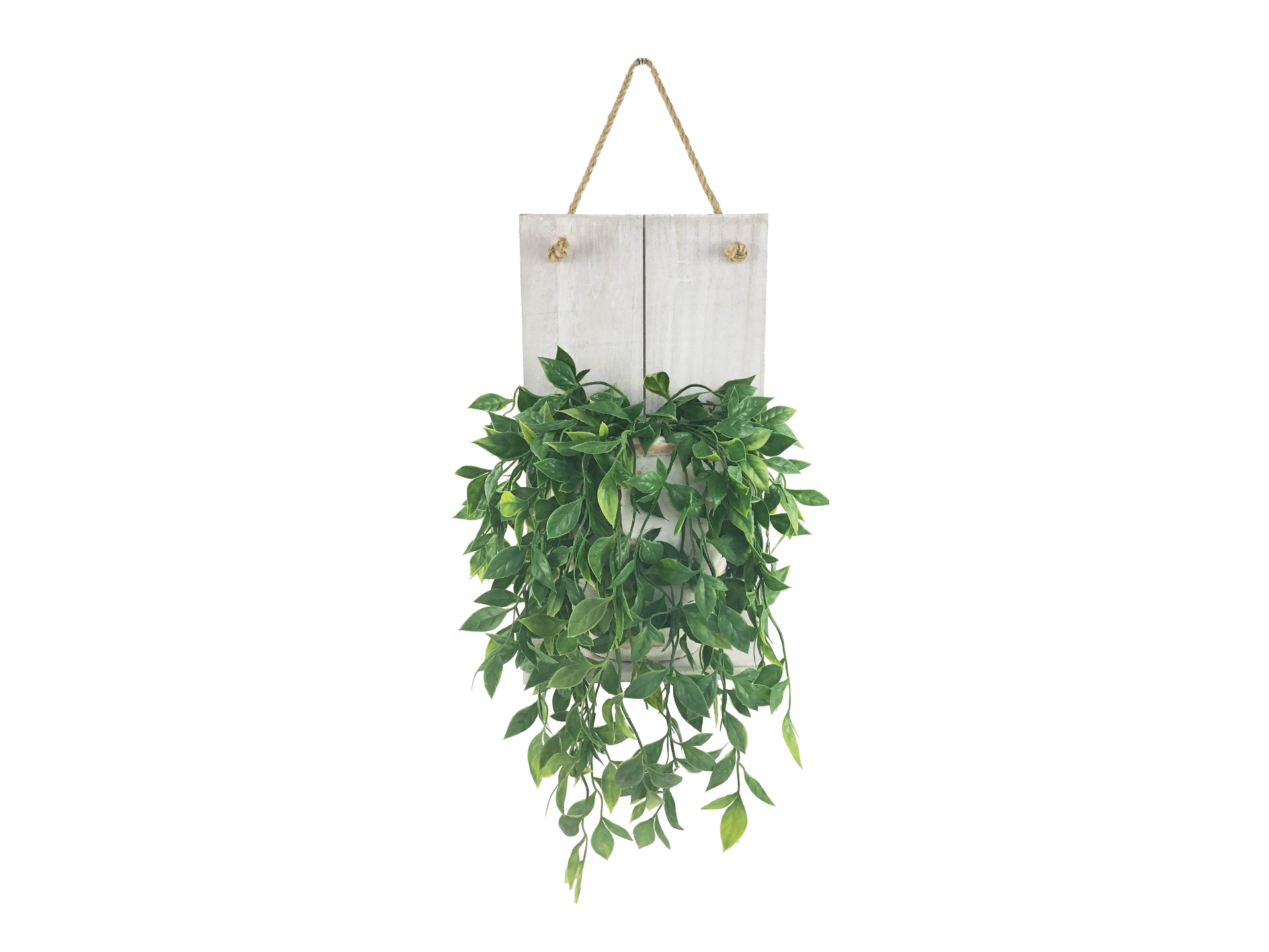 Green hanging plant in pot on wooden hanger