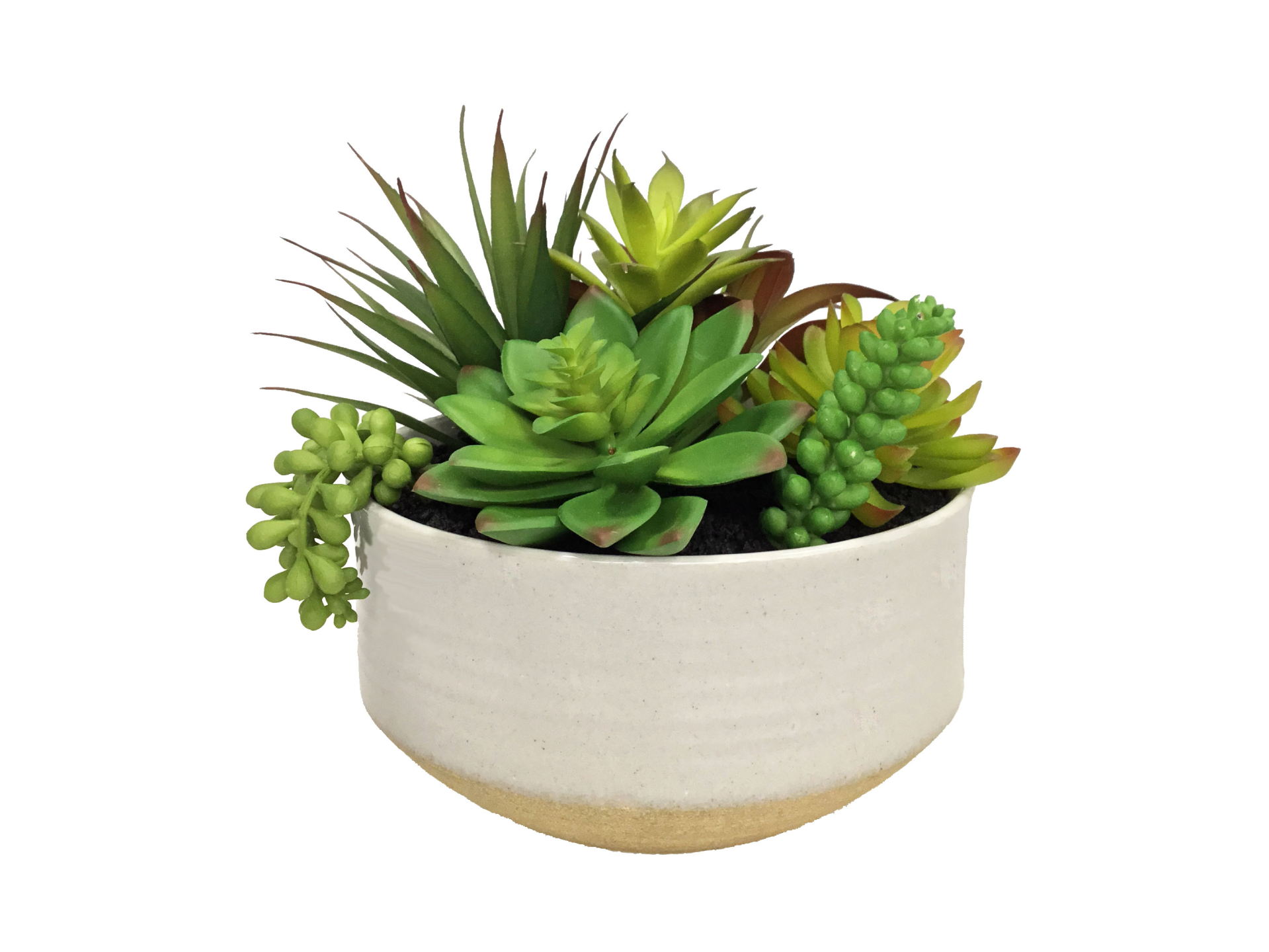 Succulent variations in white pot