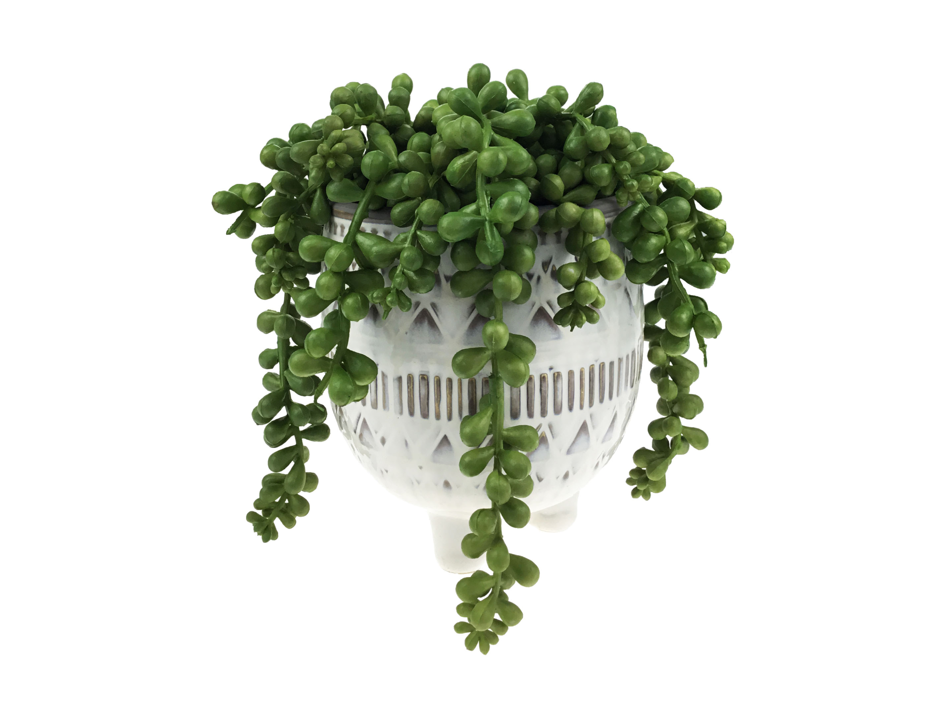 Hanging plant in white pot