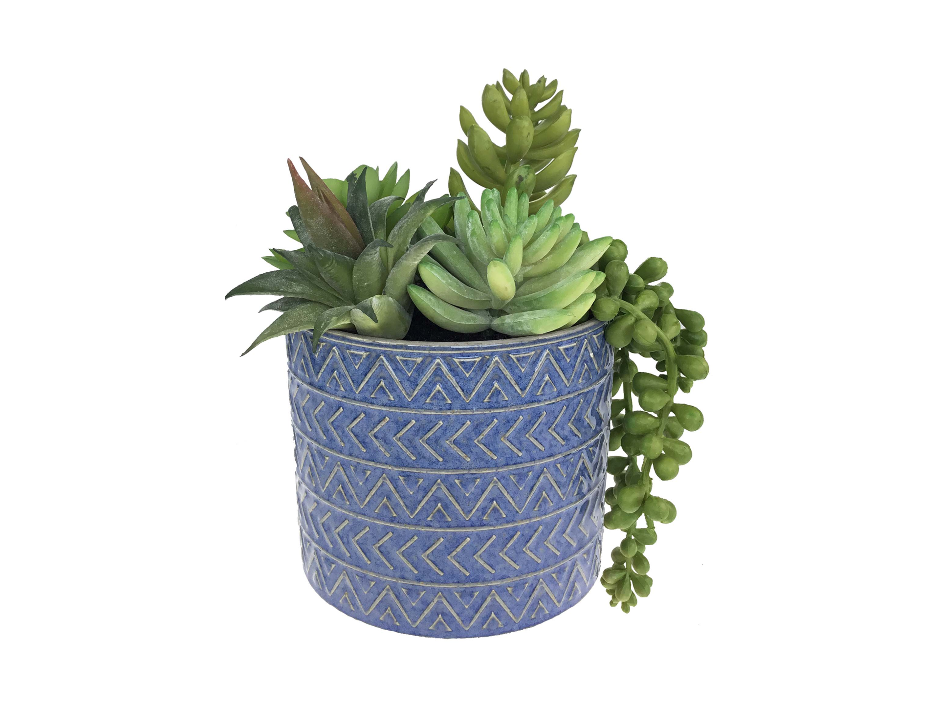 Various succulents in blue pot