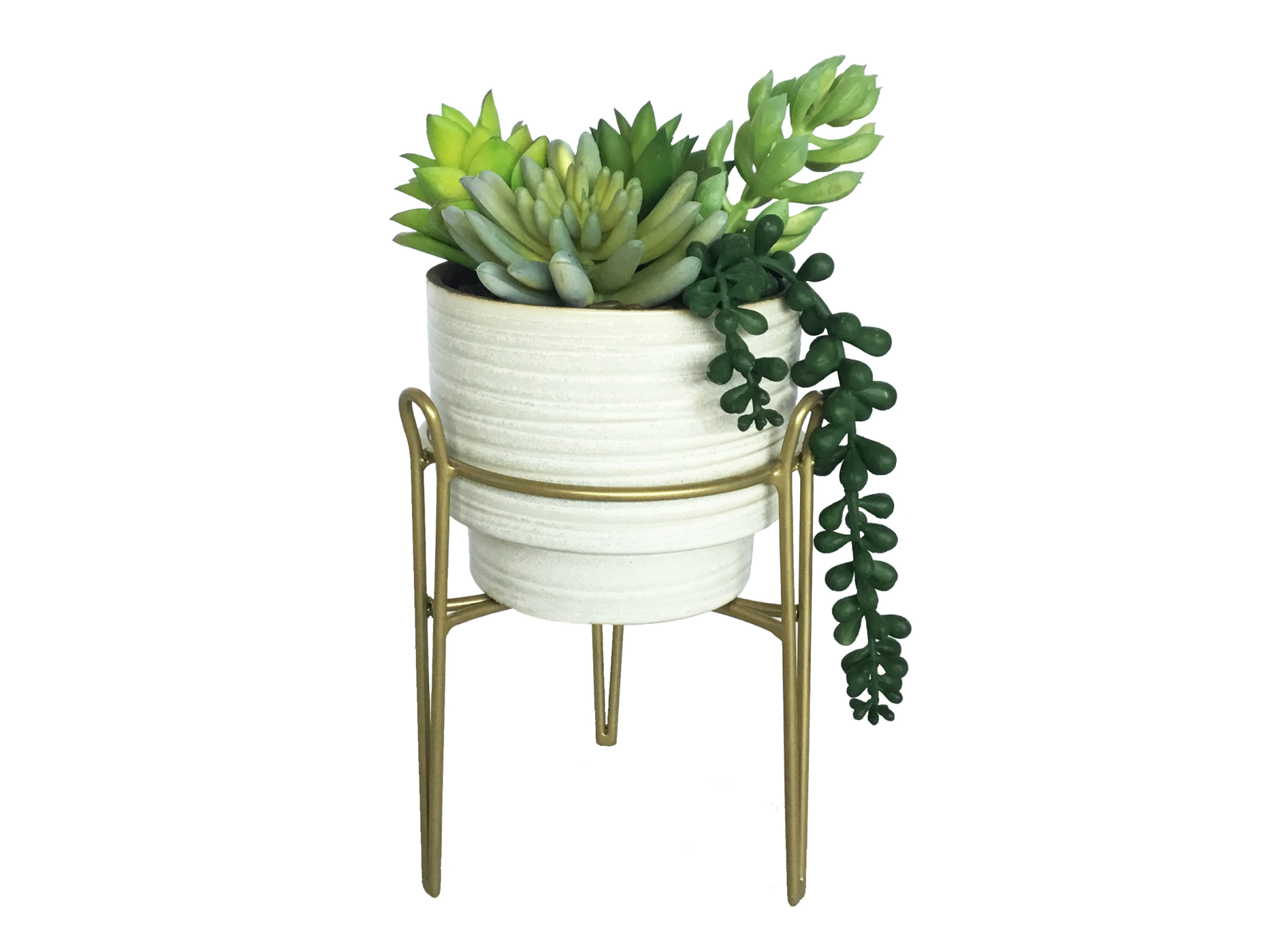 succulent variations in white pot with golden stand