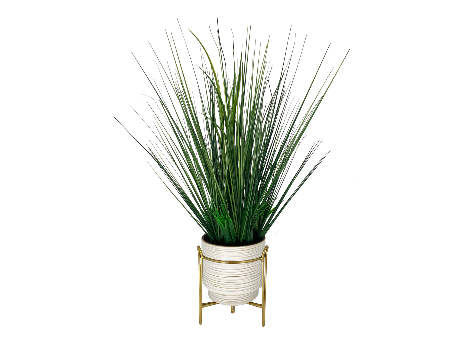 Spikey plant in white pot with golden feet