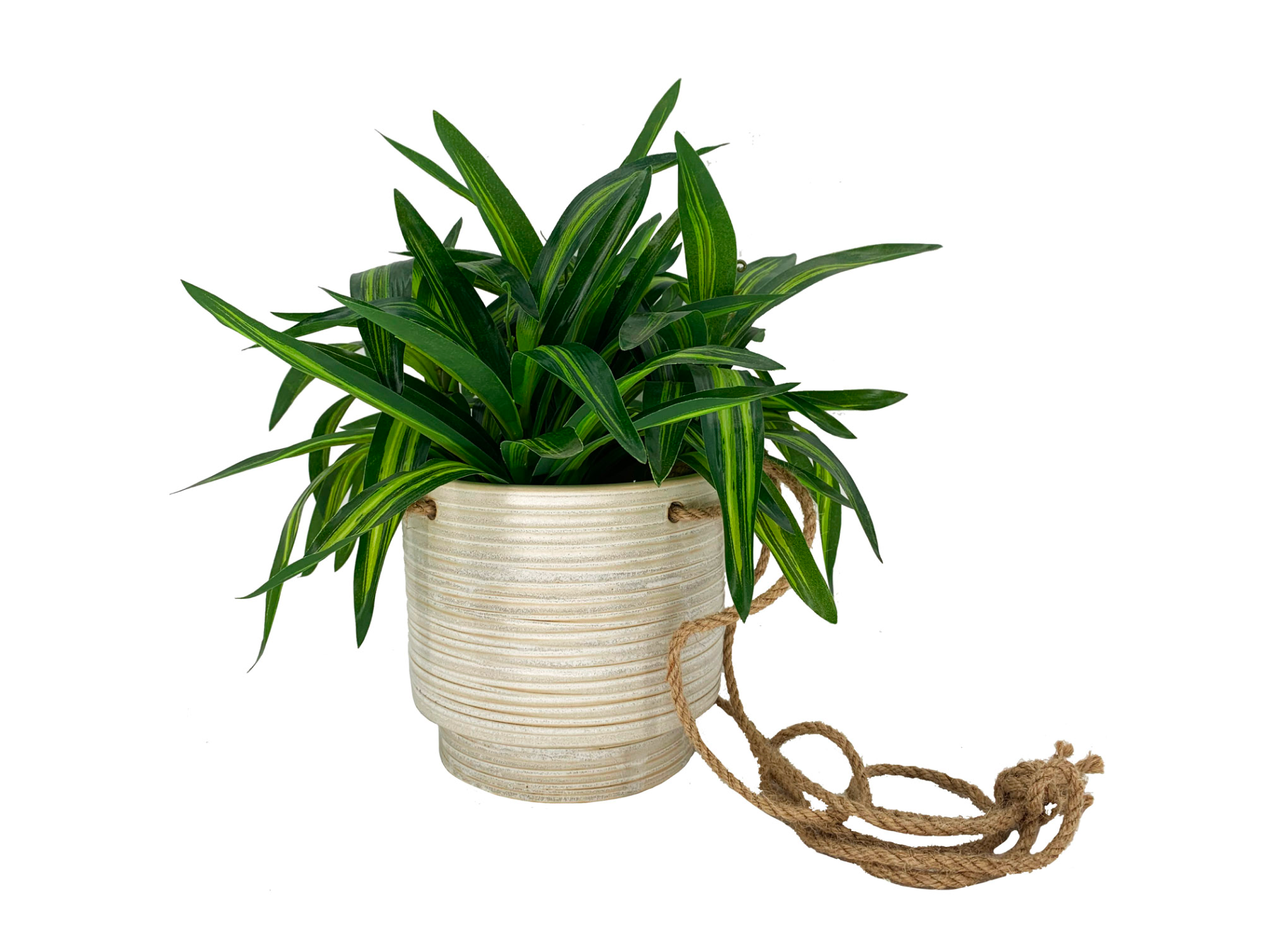 Green plant in light brown pot with rope to hang