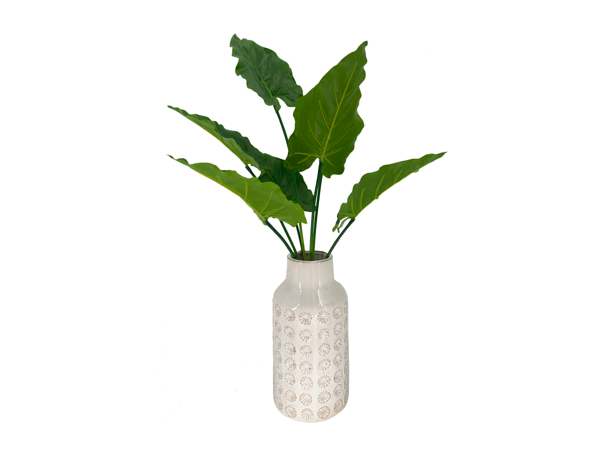 Big green leaves in tall white vase