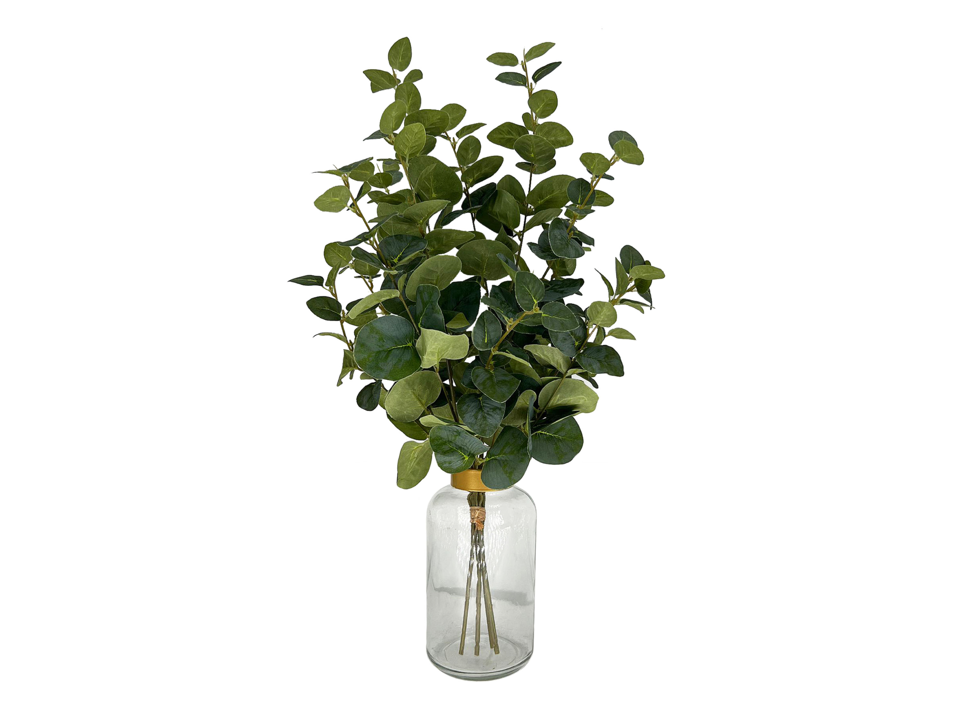 Round green leaves in grey transparent vase