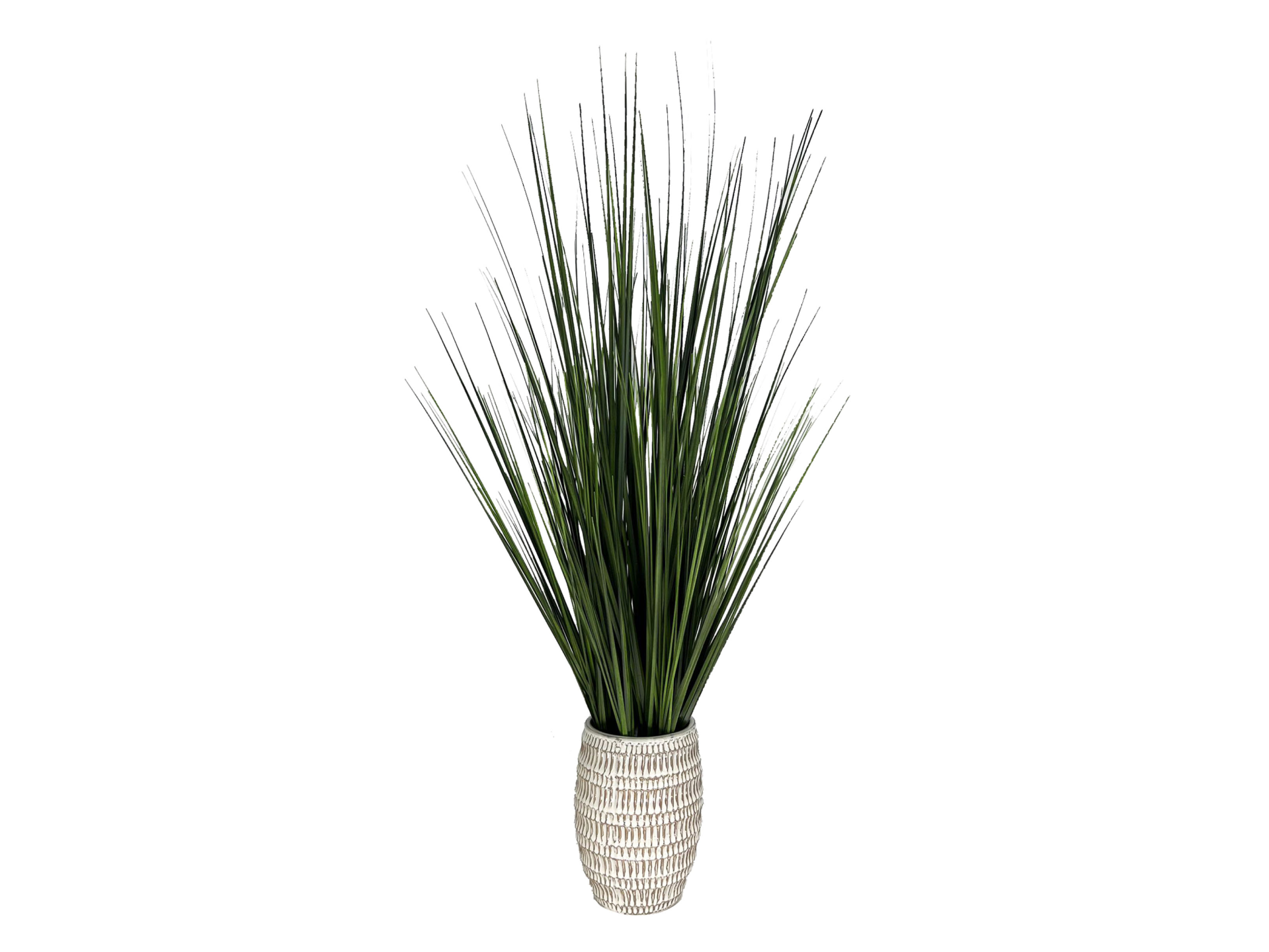 Spiky plant in white an grey vase