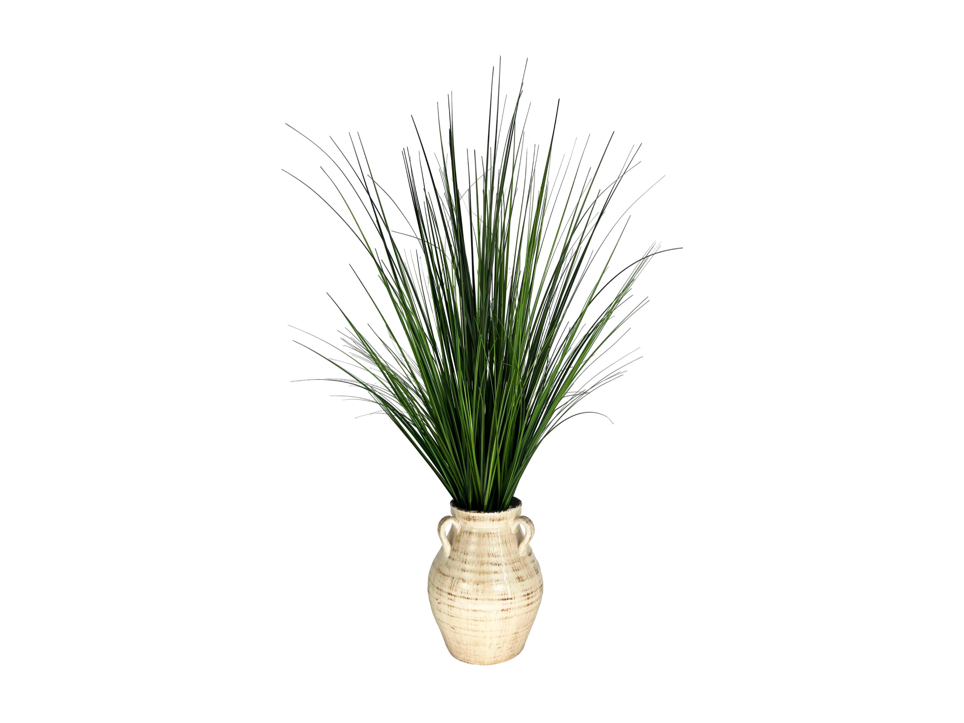 Spiky plant in white brown vase with ears