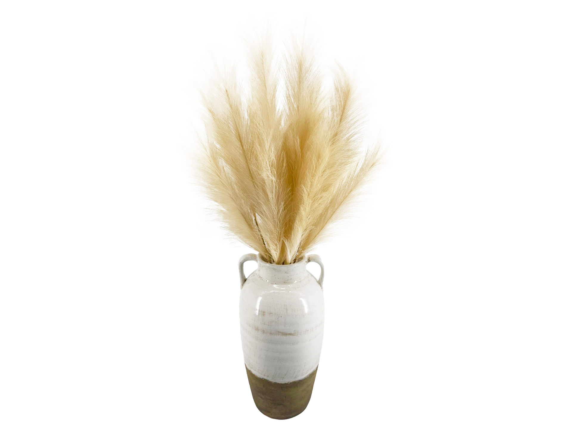 Wheat leaves in beige vase with ears