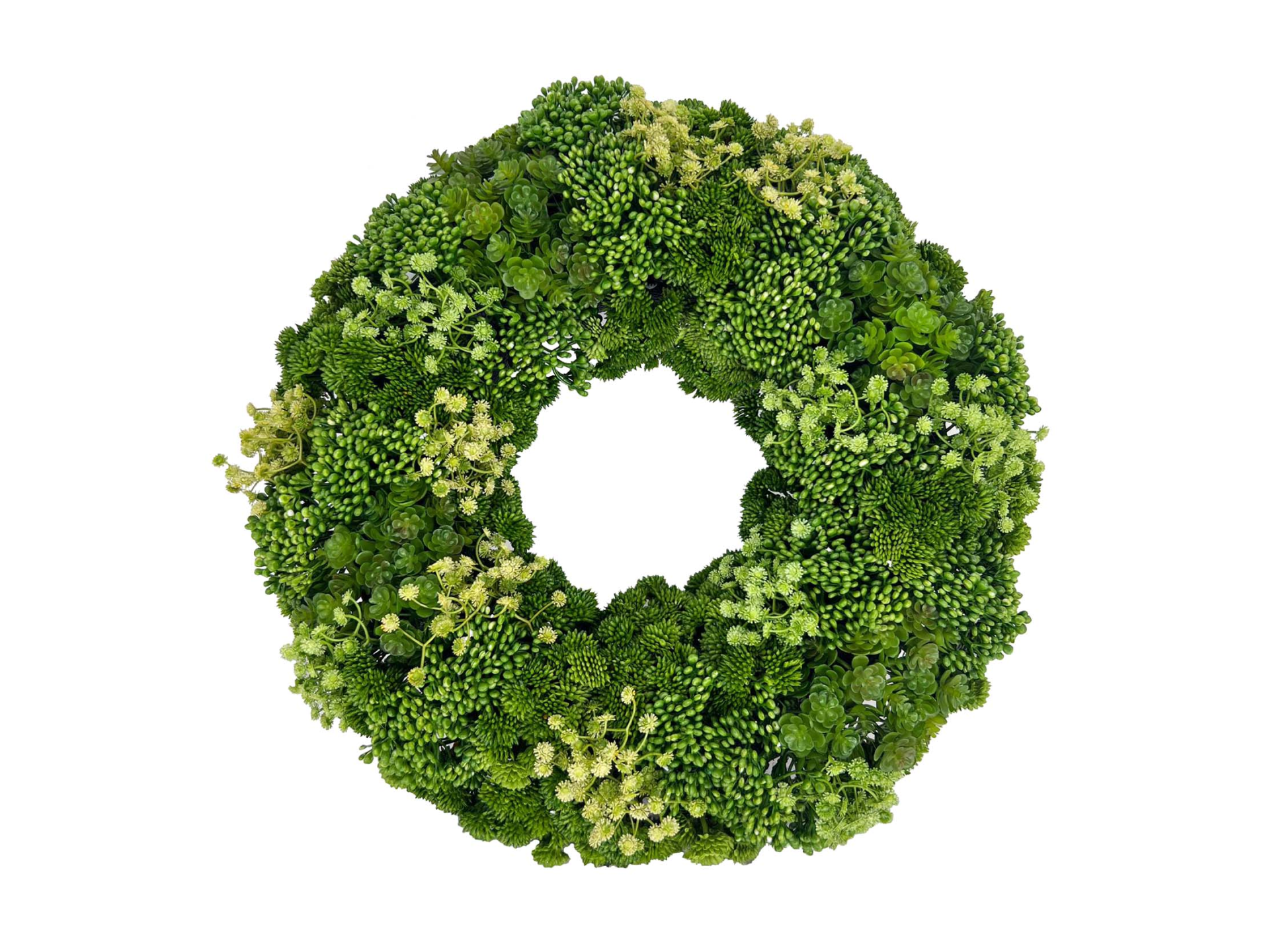 Green round succulent wreath