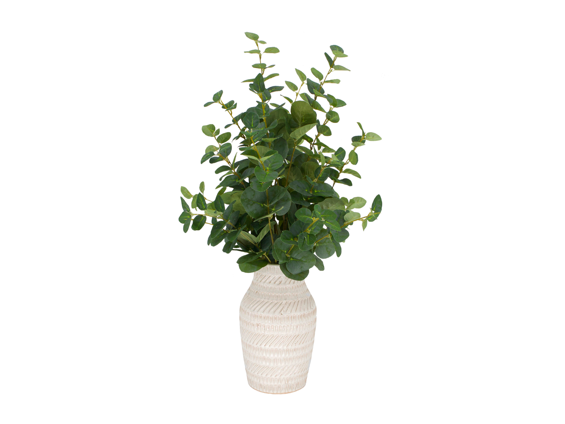 Green leaved plant in white vase