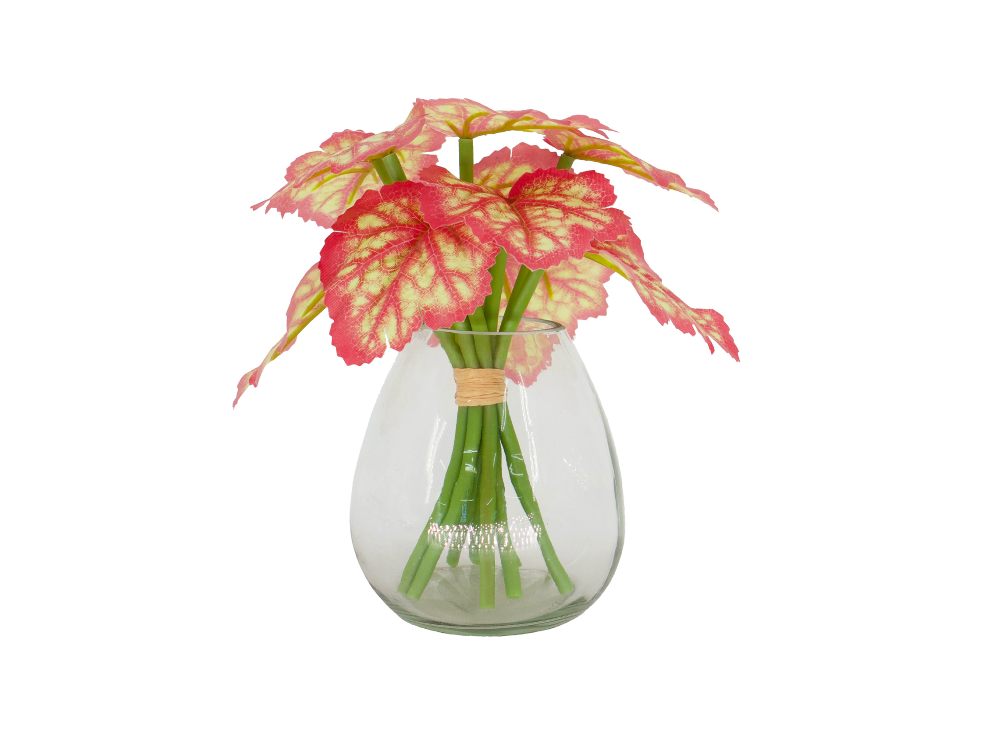 Pink leaves on green stems in glass vase