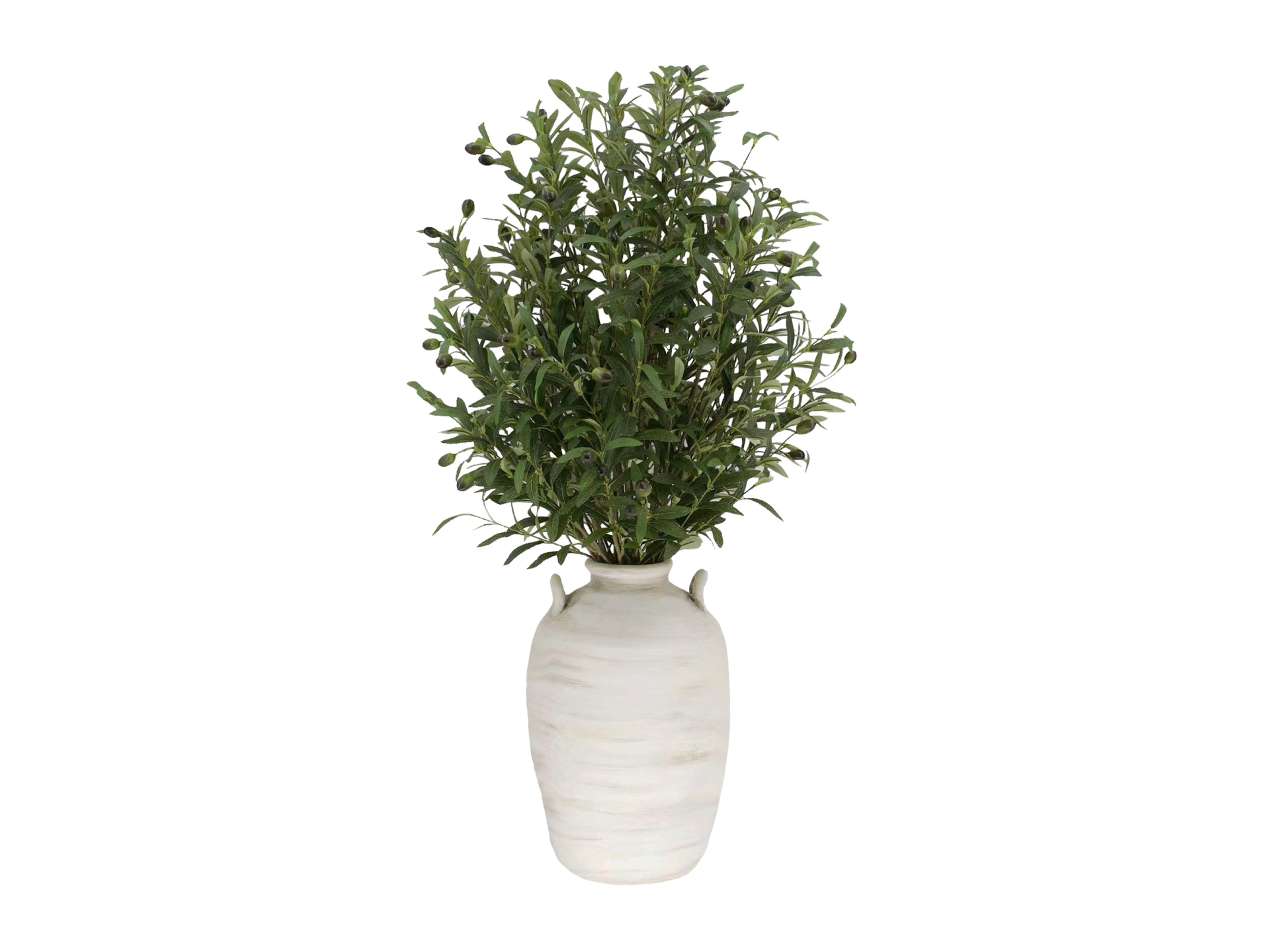 Bushy plant in white vase with ears