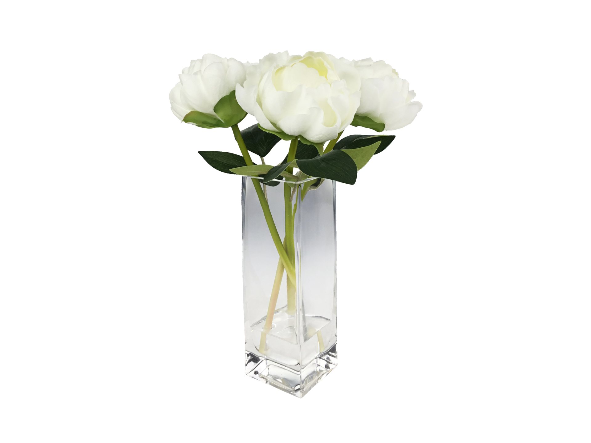 White flowers in square tall vase