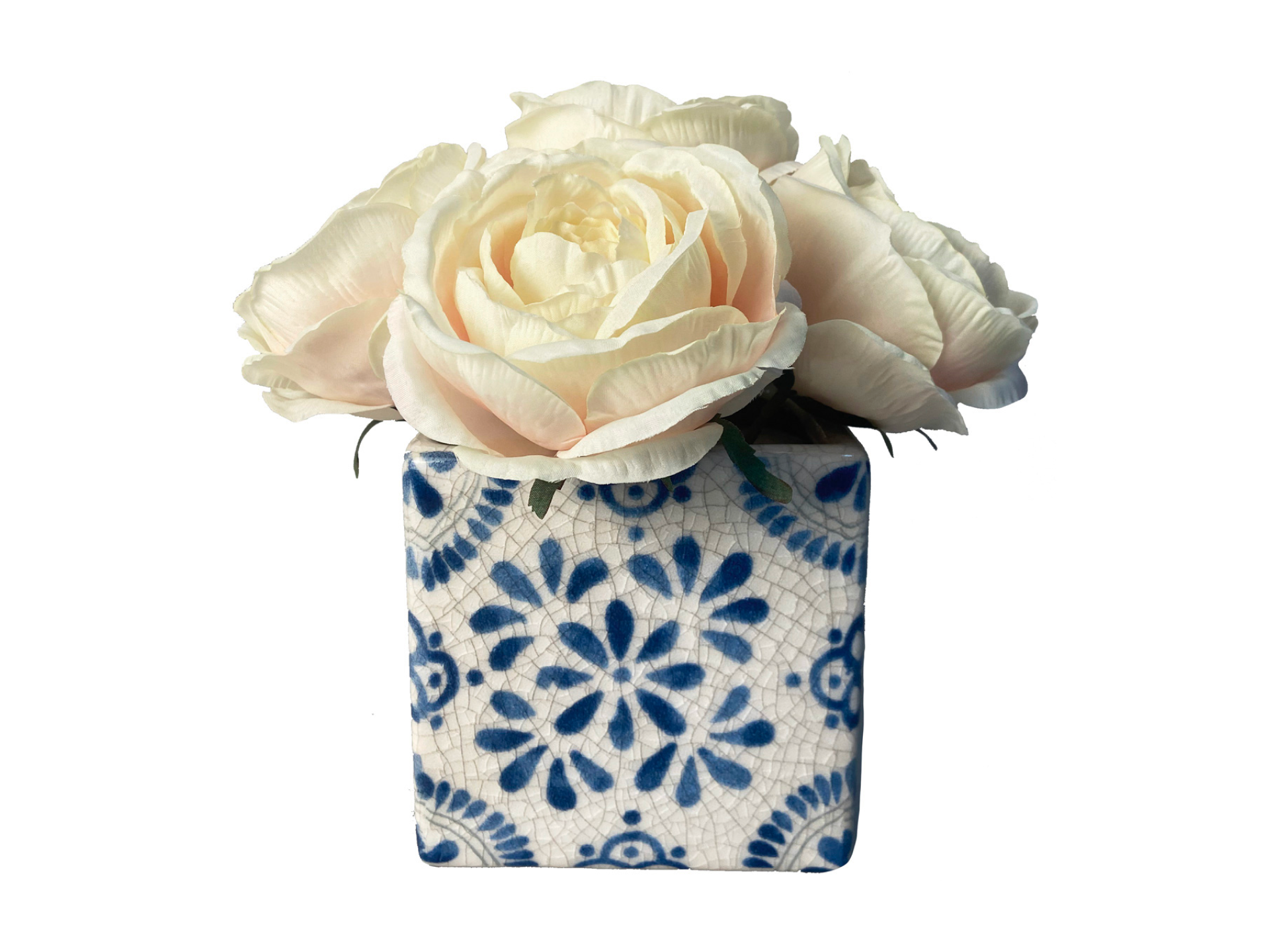 Big white roses in blue and white pot