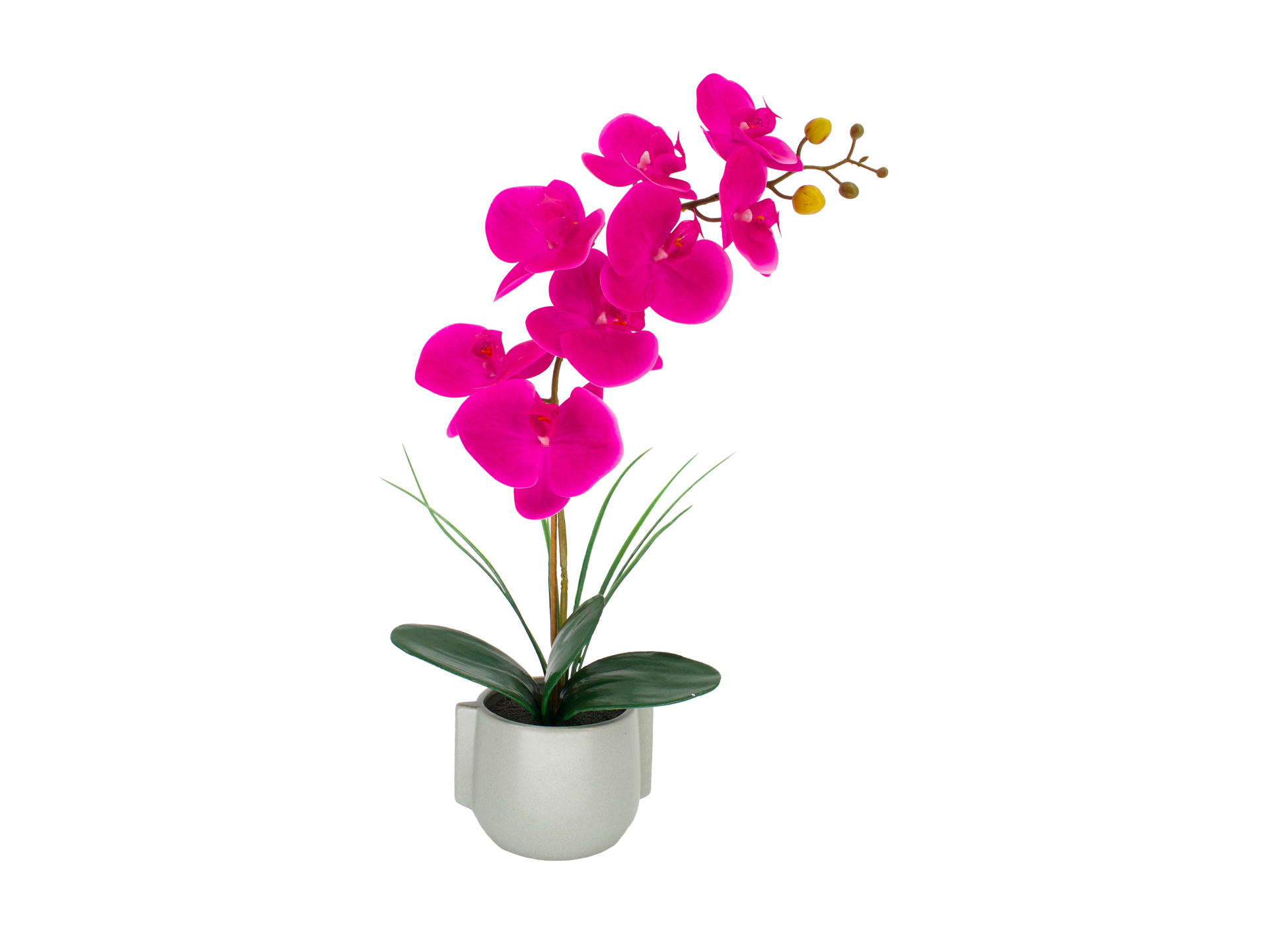 Bright pink orchid in light grey pot