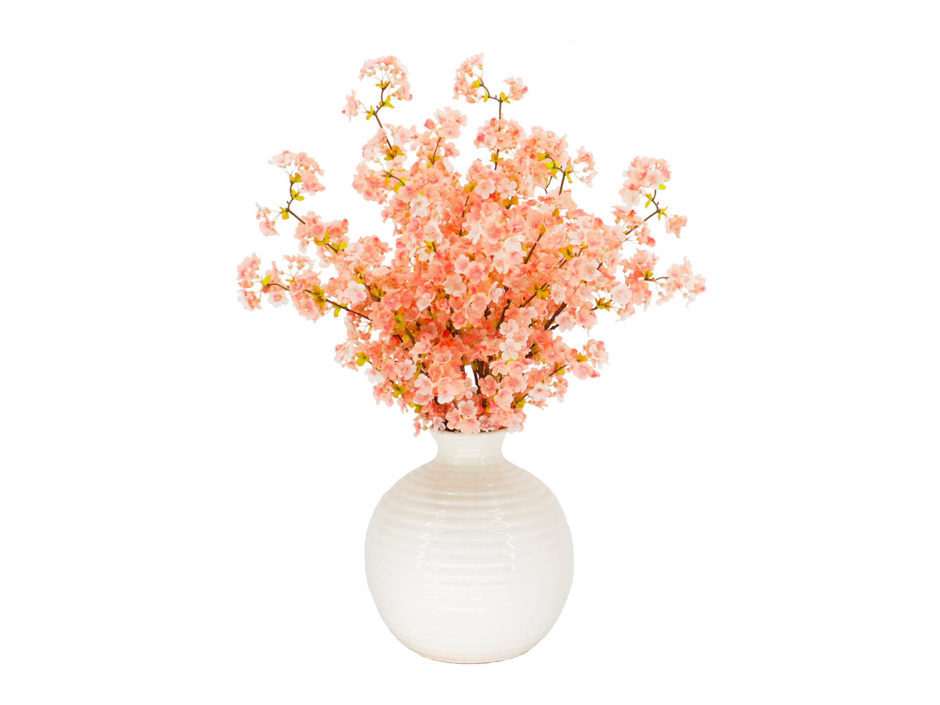 salmon pink flowers in round white pot