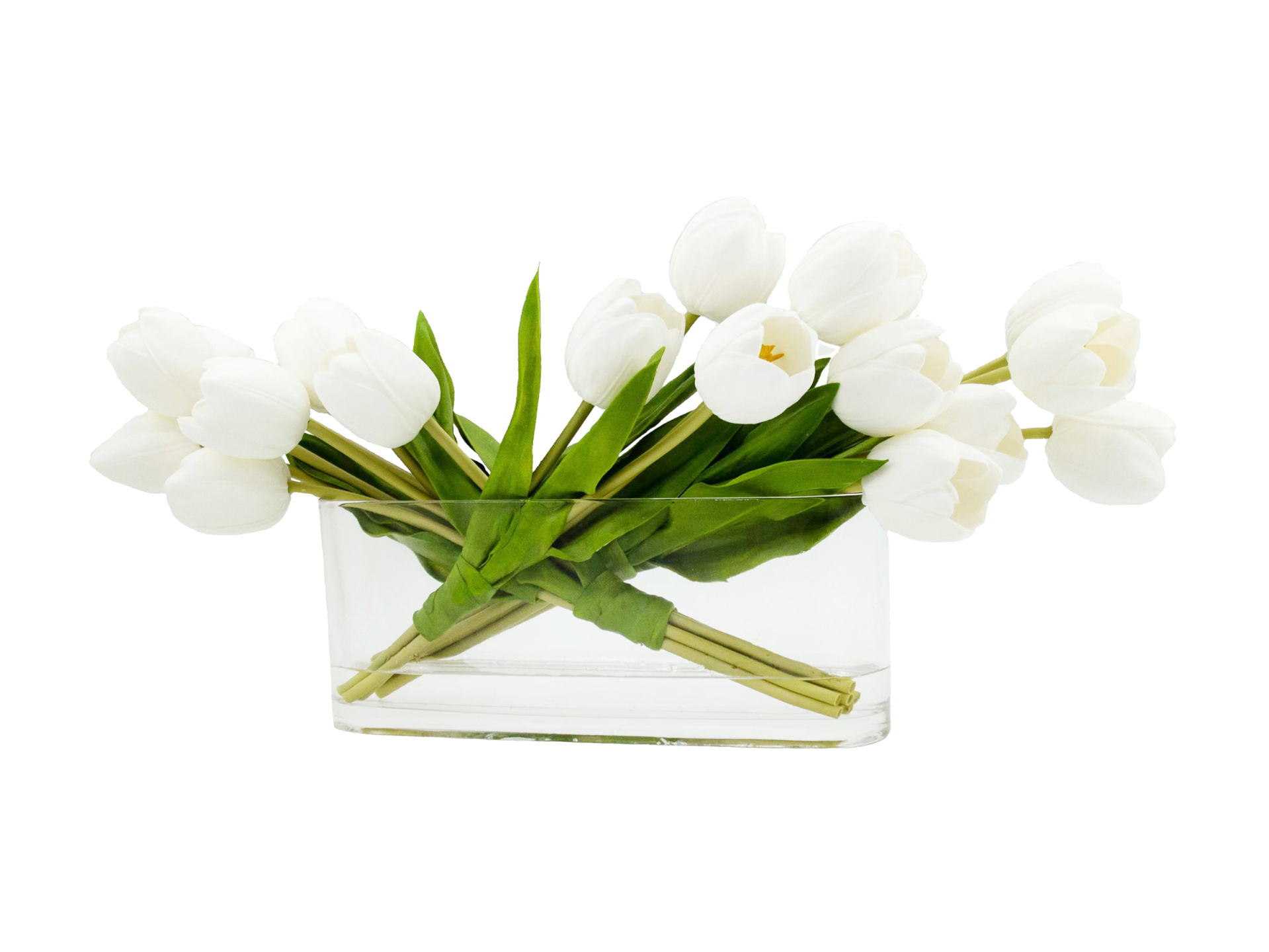 White tulips in wide and low glass vase