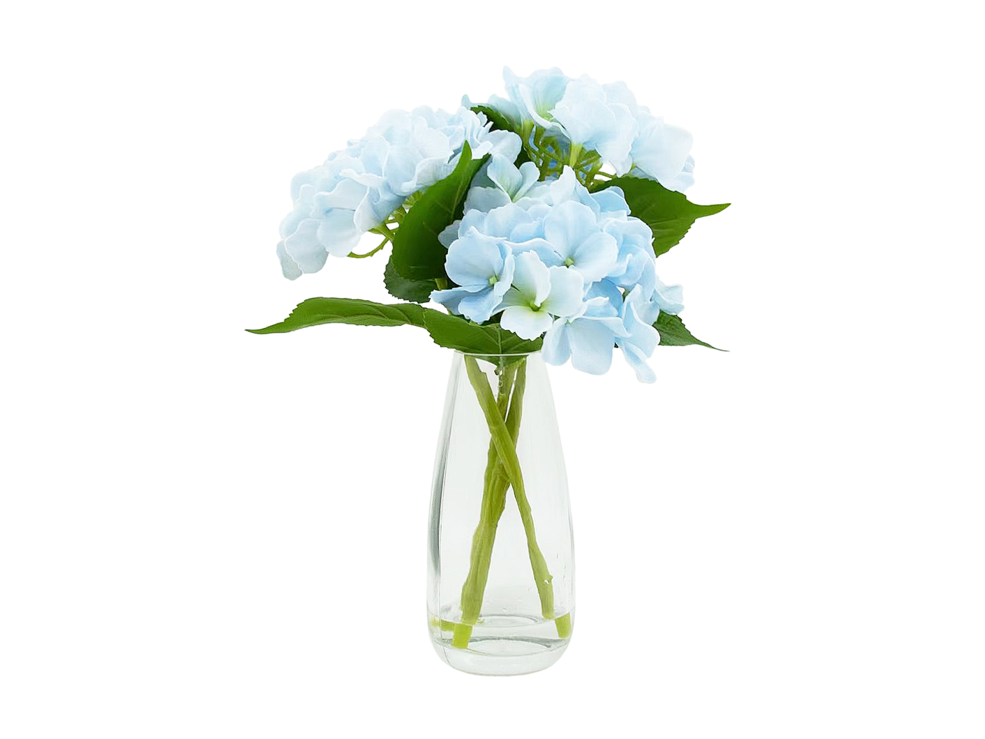 Light blue hydrangeas in glass vase