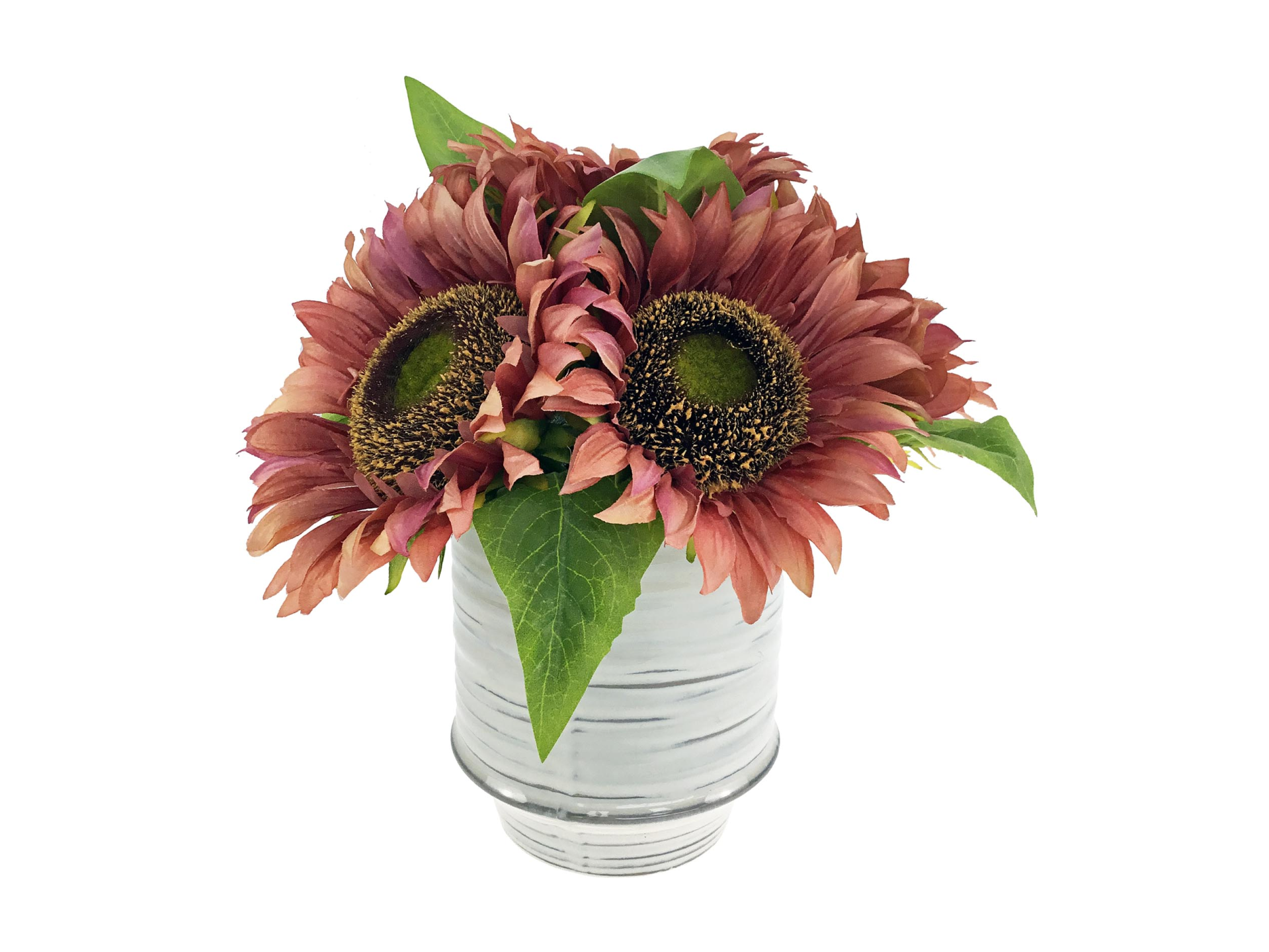 Pink sunflowers in white pot