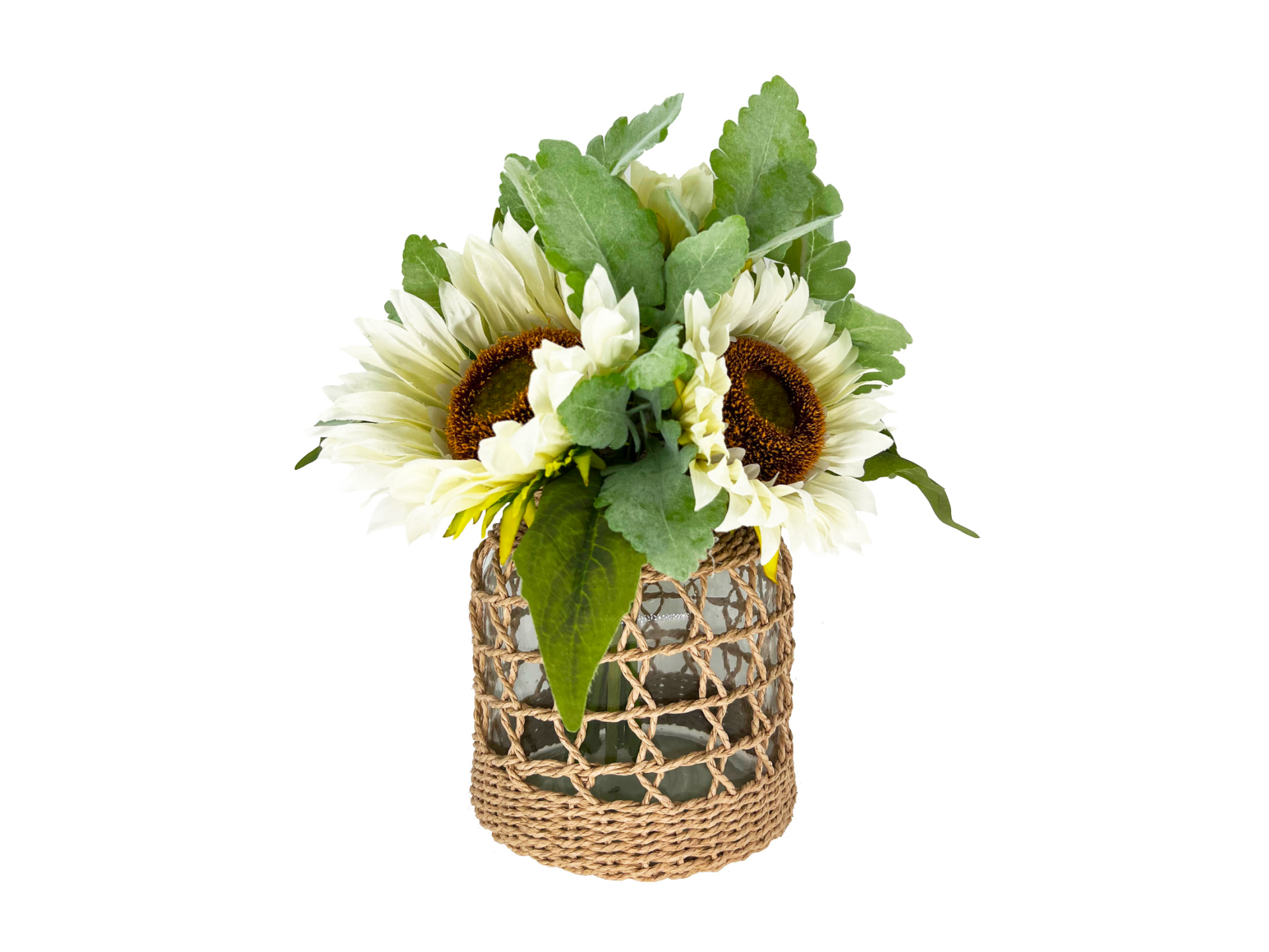 White sunflowers and green leaves in glass vase with decorative rope