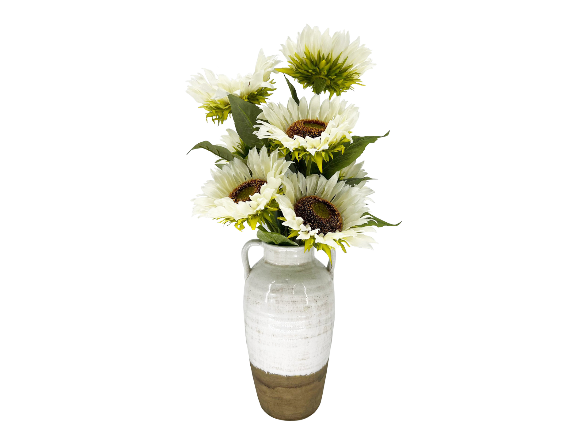 White sunflowers in tall brown and white vase with ears