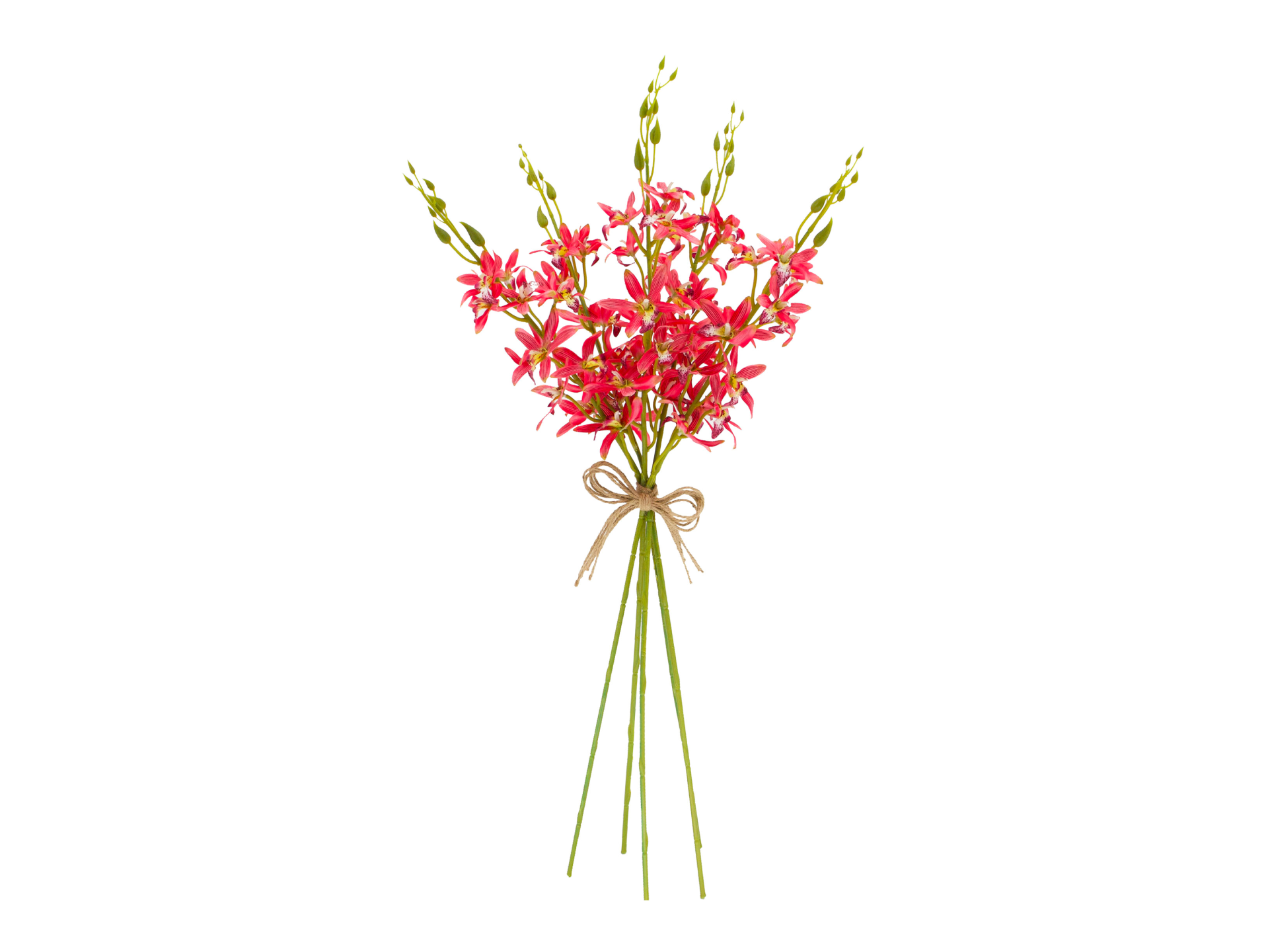 Bright pink flowers on green stems