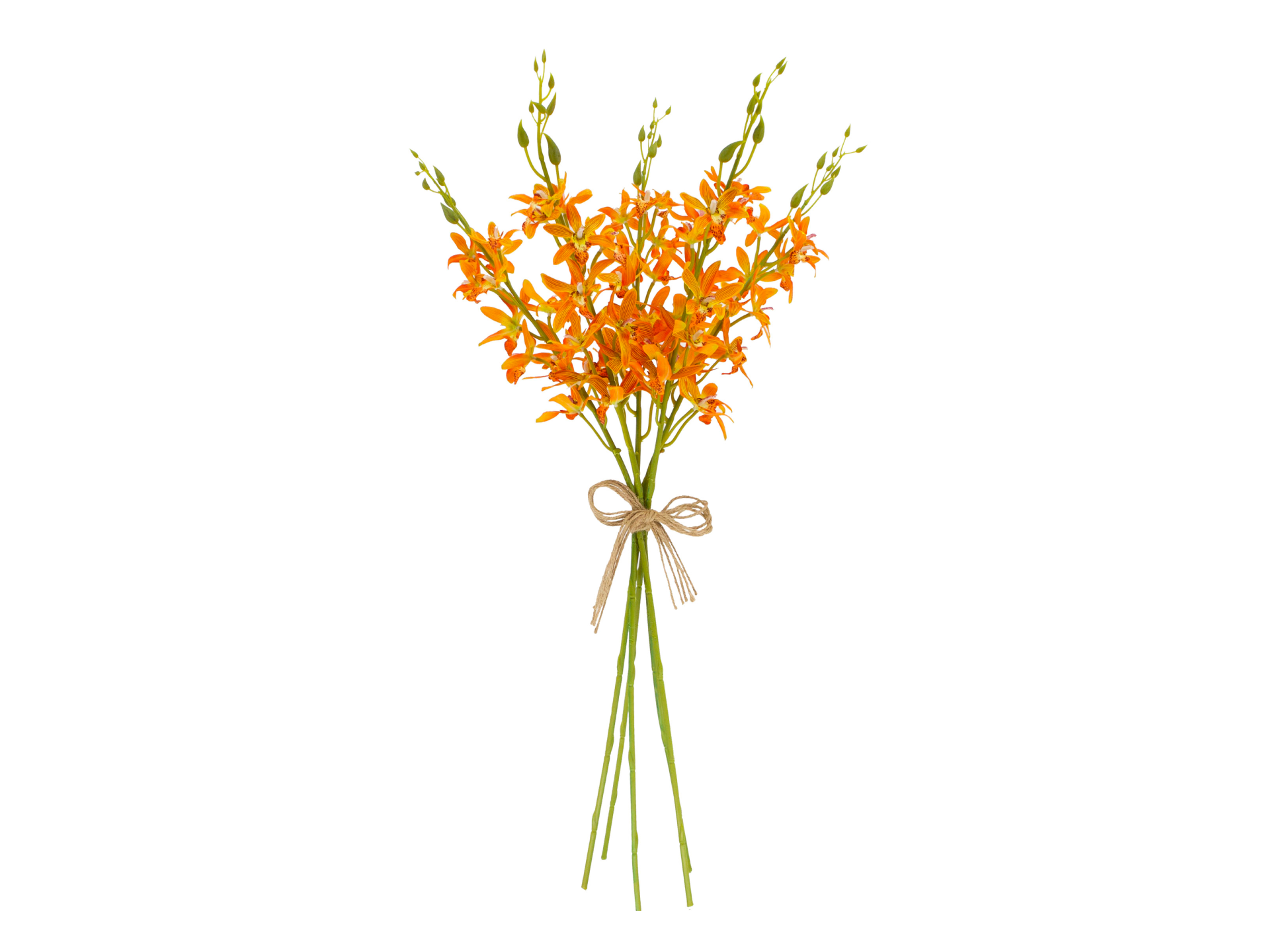 Orange flowers on green stems