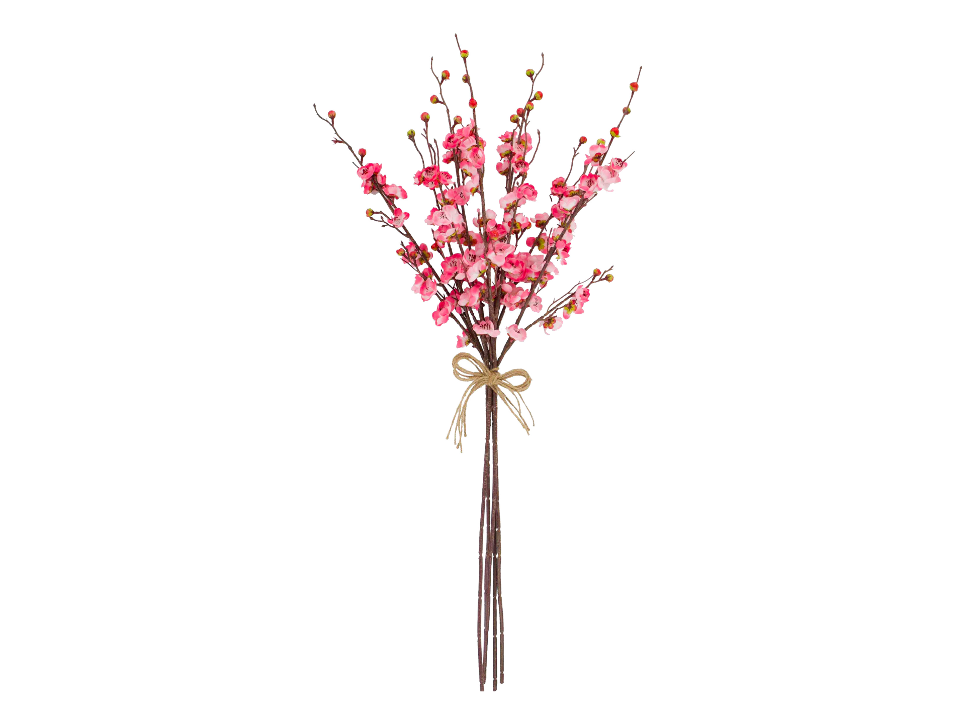 pink flowers on brown stems