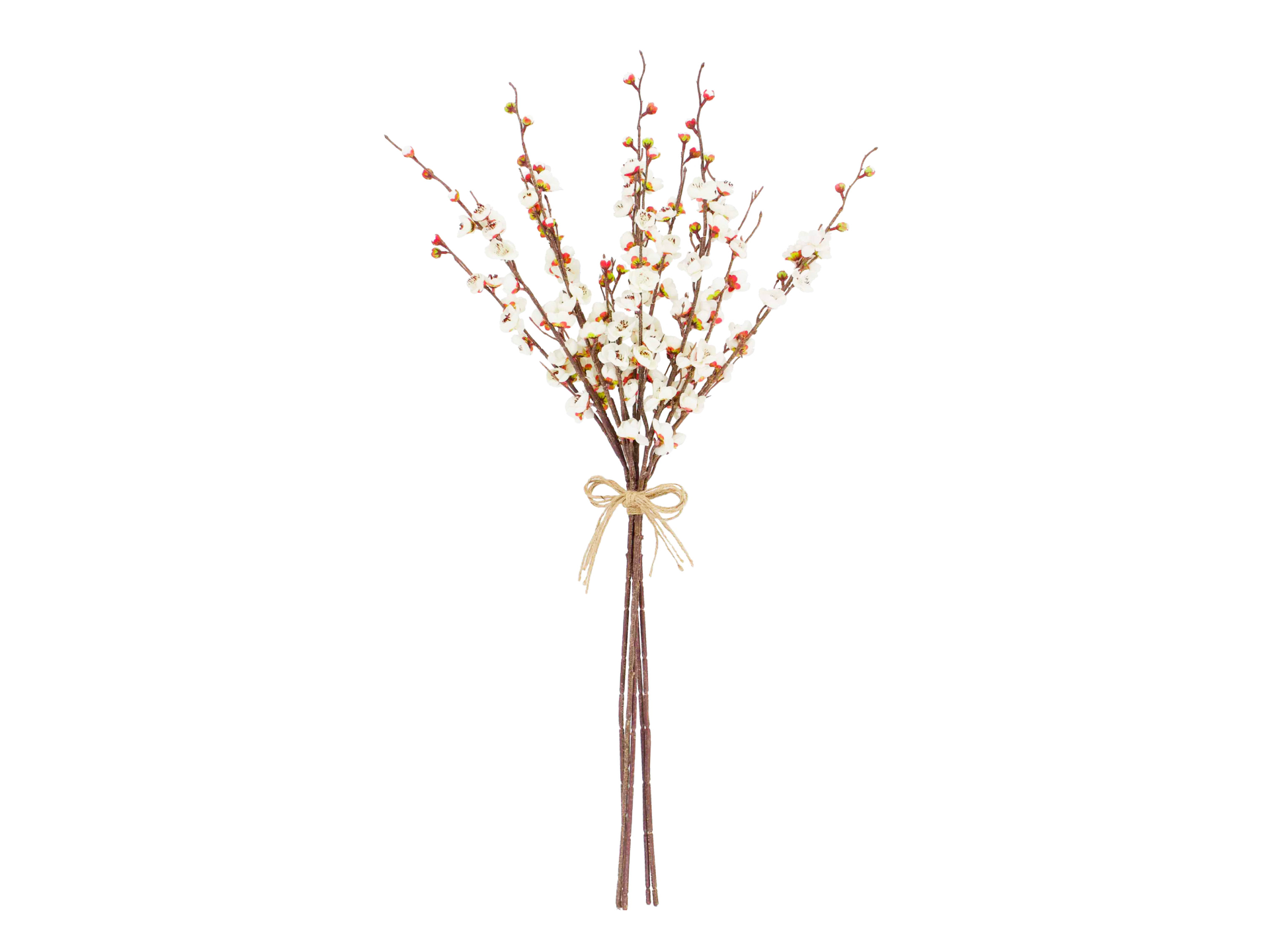 White flowers with pink on brown stems