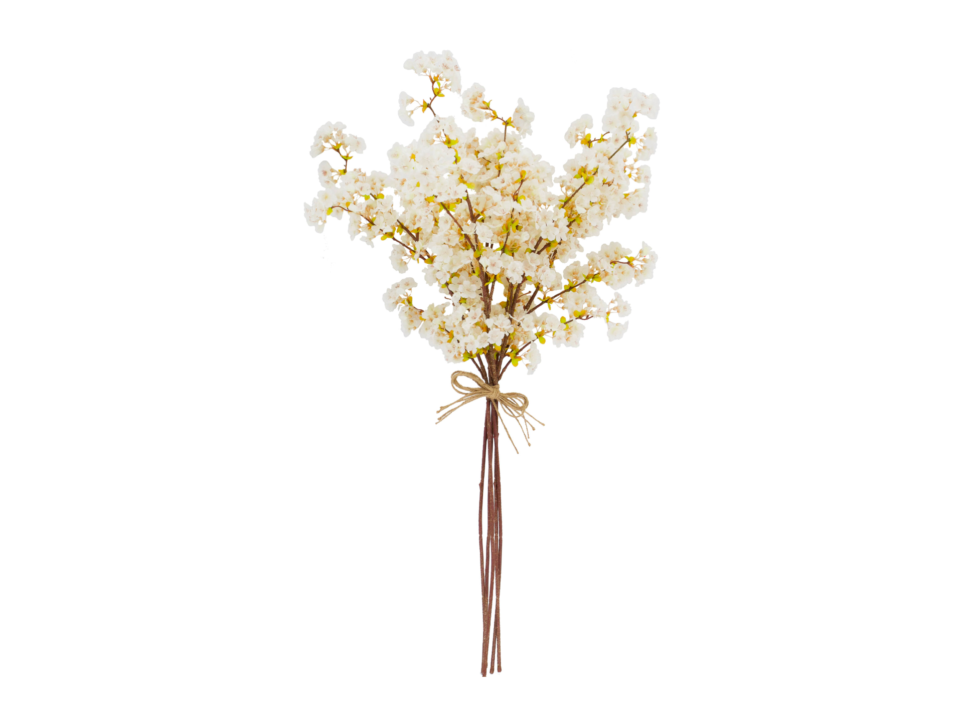 White flowers on brown stems