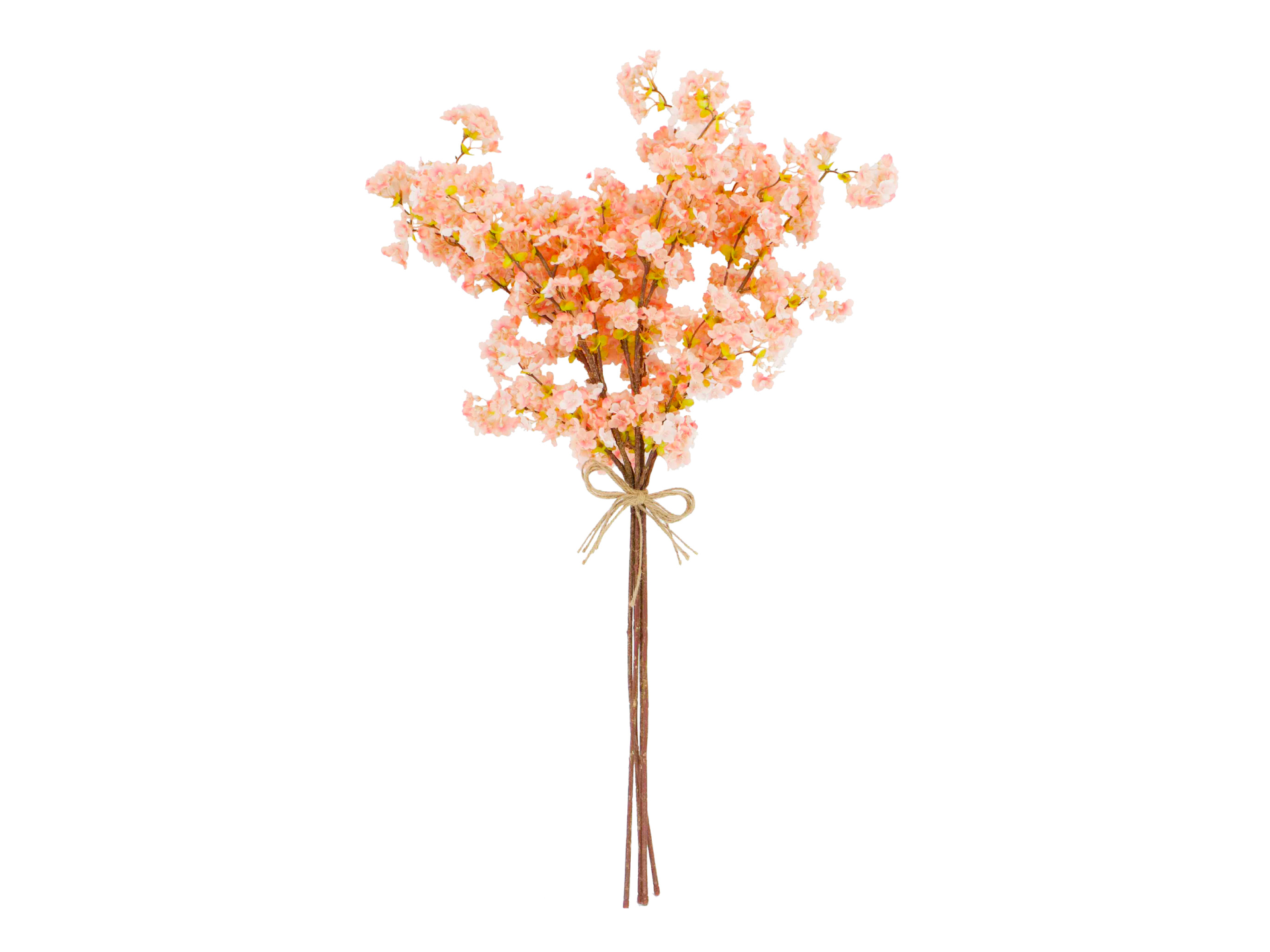 Salmon pink flowers on brown stems