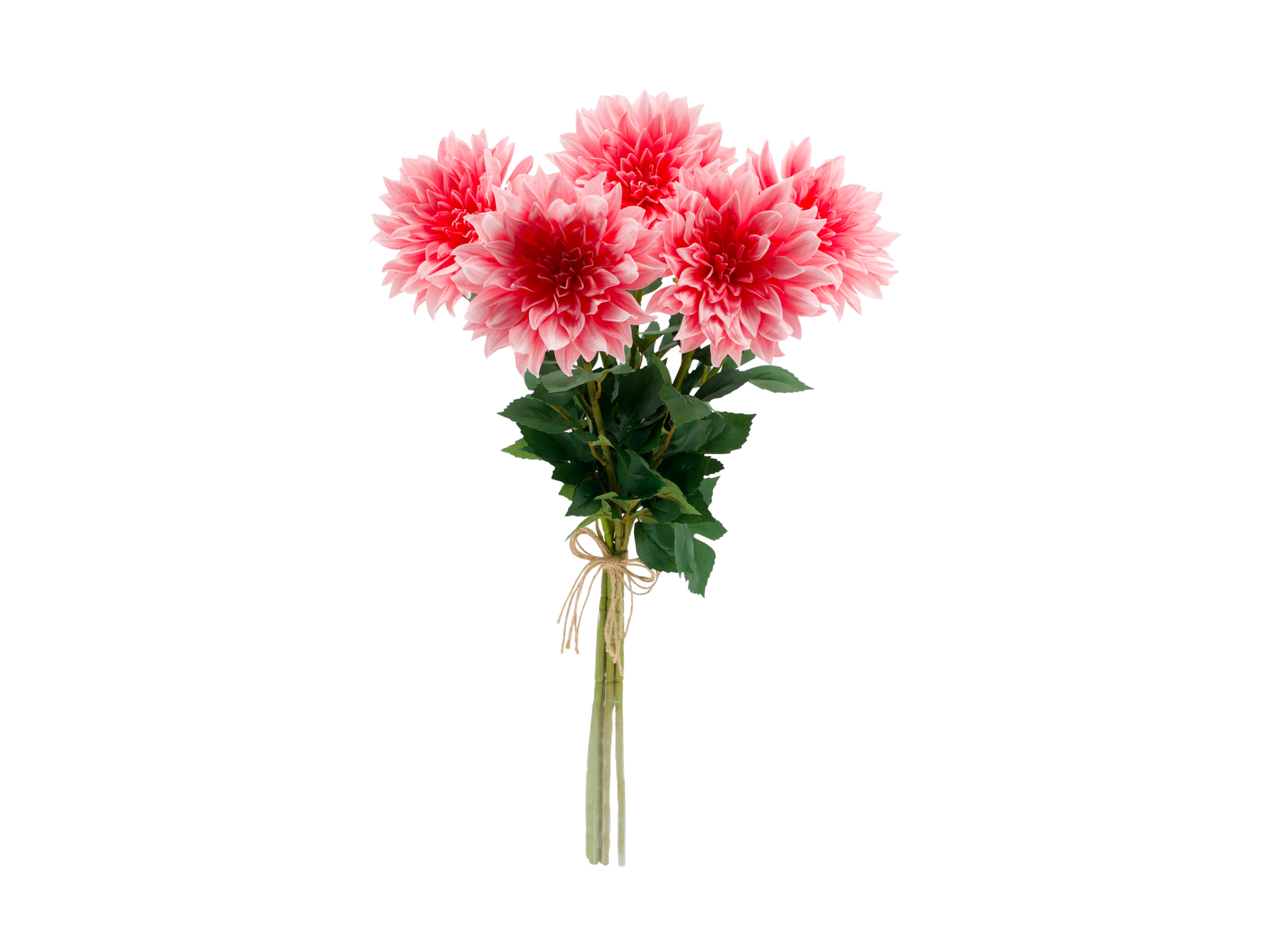 Big pink flowers with green leaves