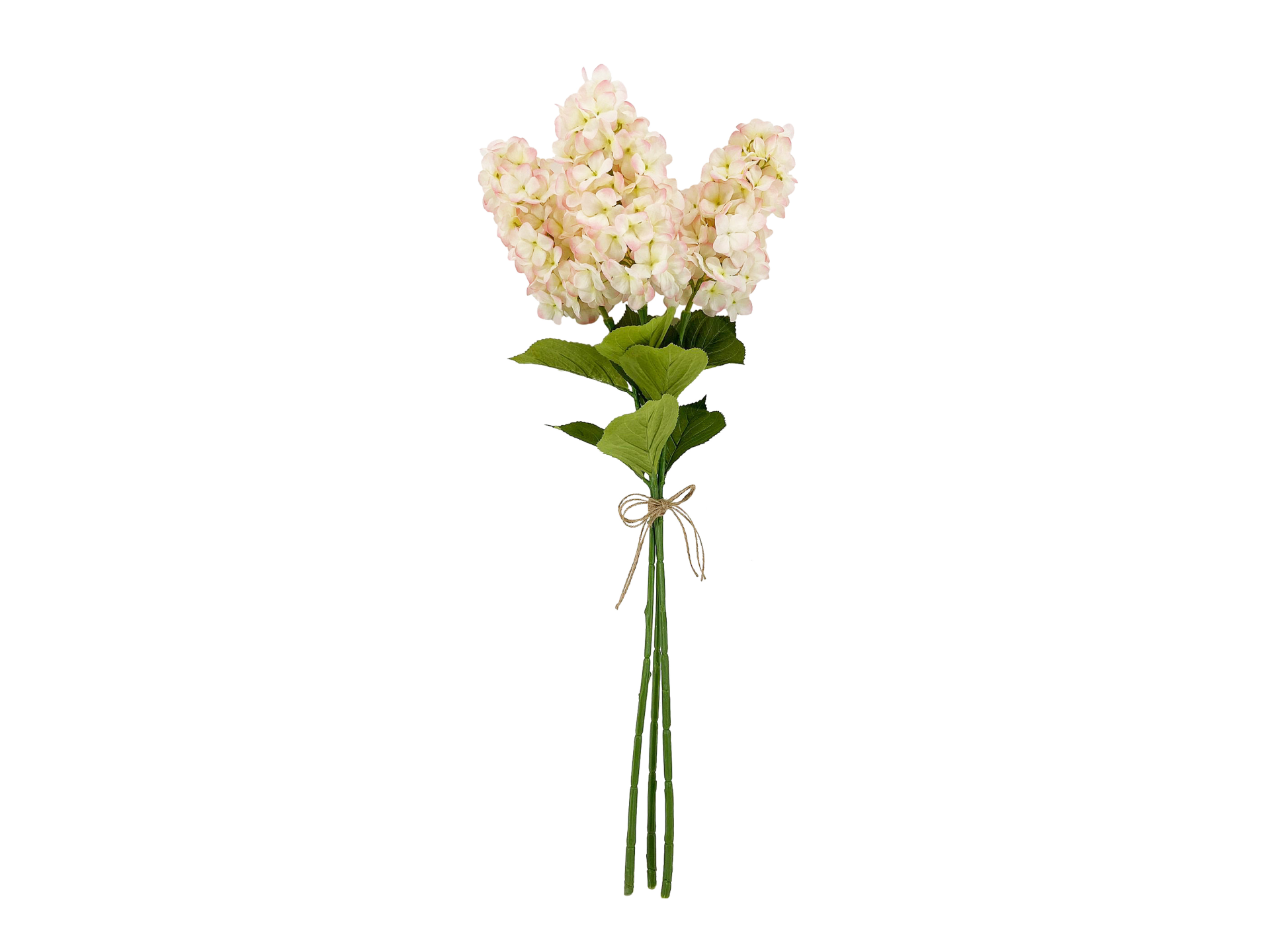 Light pink petal flowers with green leaves