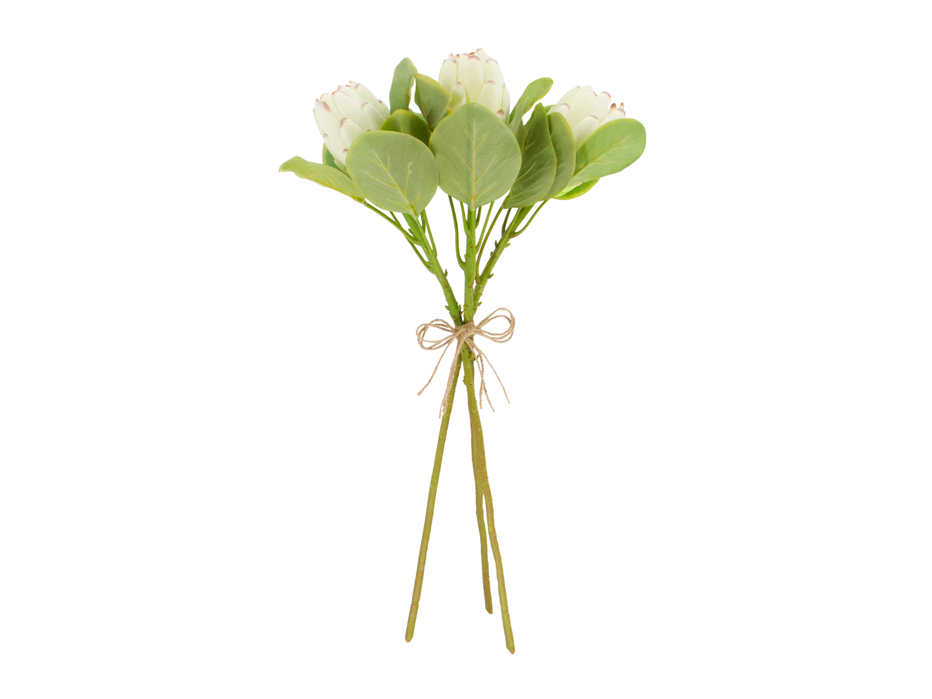 White artichoke looking flowers