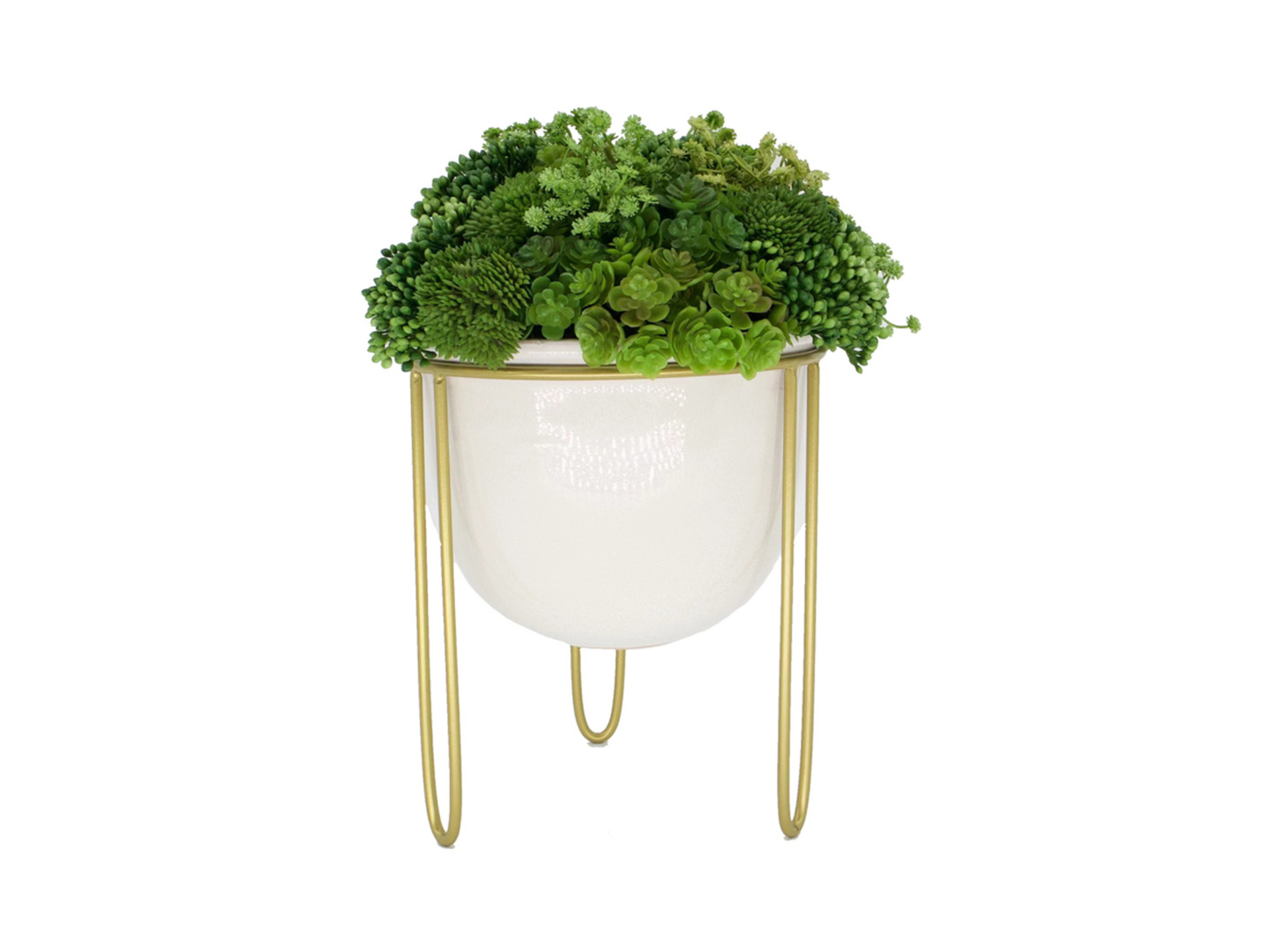 Succulents in white ceramic planter in gold plant stand